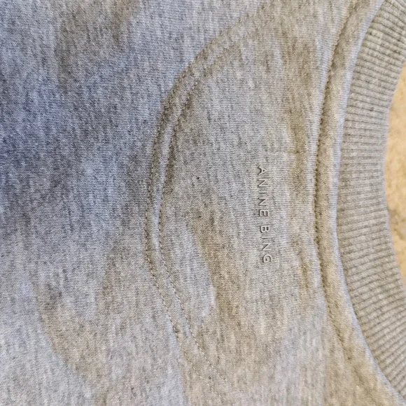 Anine Bing Kenny Sweatshirt Motel - Picture 4 of 8